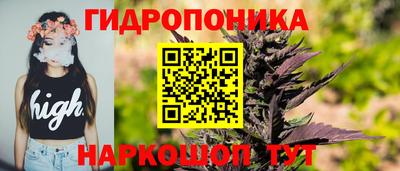 стаф Гусев