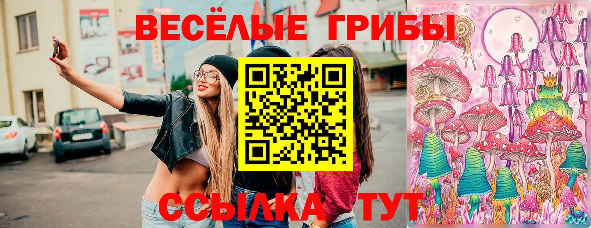 Псилоцибиновые грибы Magic Shrooms Орехово-Зуево
