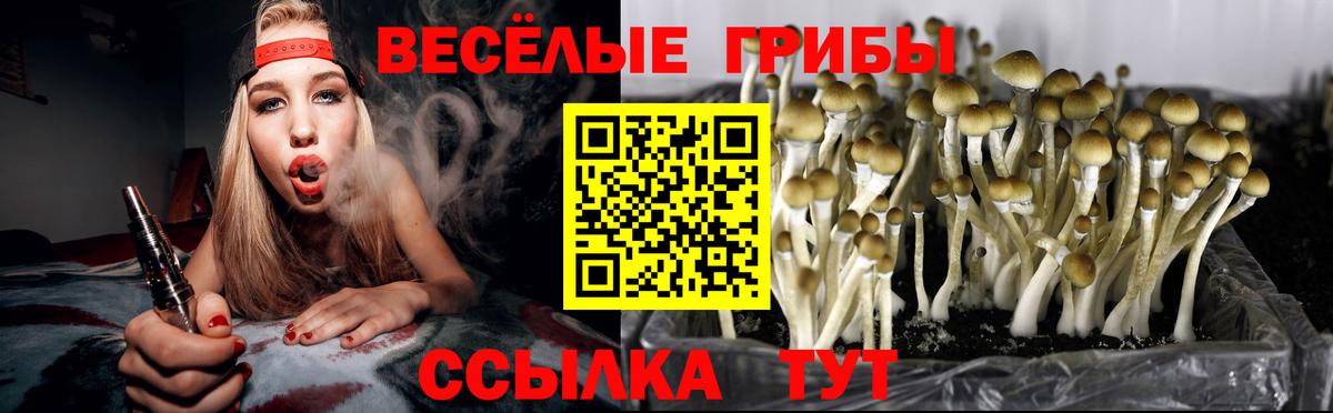 Галлюциногенные грибы MAGIC MUSHROOMS  Псилоцибиновые грибы ЛСД  Вход с VPN  Орехово-Зуево 